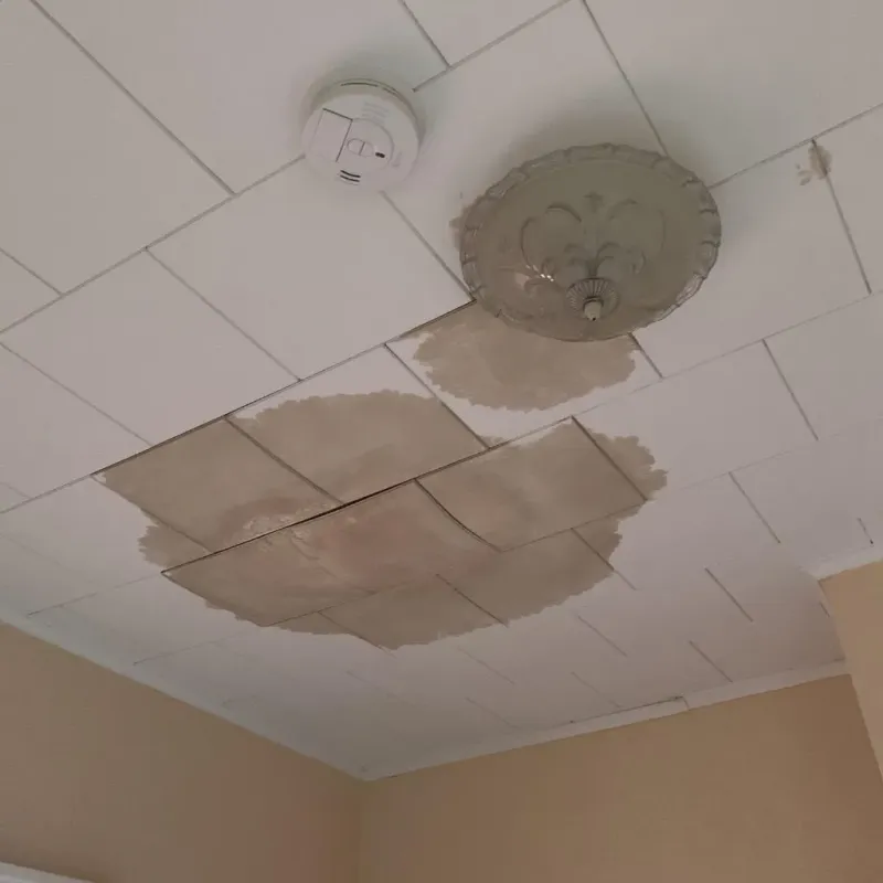 Ceiling Water Damage Repair in Assonet, MA
