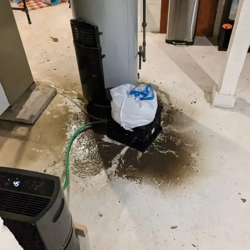 Sewage Backup Cleanup Service in Assonet, MA